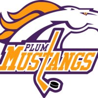 Plum Hockey (@plumhockey) 's Twitter Profile Photo