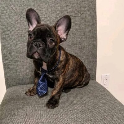 wissthemouss_'s profile picture. 19 | 🇨🇦🇩🇿🇫🇷| 🇵🇸🍉