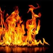 Satisfaccion99's profile picture. Placeres mundanos