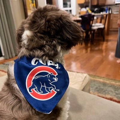 @policyrez partner doing strategic communications, co-host of @TheLobbyShopPod, Cubs fan. bio: https://t.co/1EWmaMnzIf