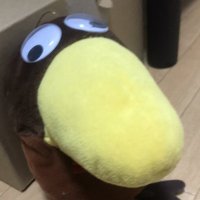 北極筆魚@弐寺AC SP七段目標 (@pengyox) 's Twitter Profile