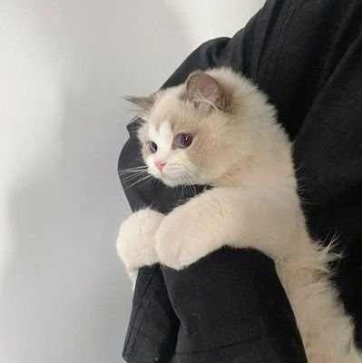 shahira_azliana's profile picture. Skincare fanatic  💖
Ig: shahira_azliana