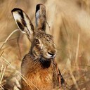 Samuel Braun - @SammyBraun - Twitter