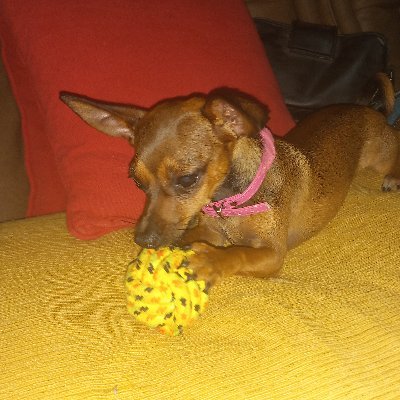 xLuzheredia's profile picture. 