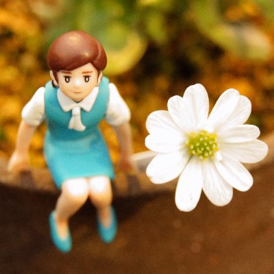 futiko3's profile picture. 旅とビールと日々の暮らし