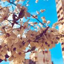 taylor belew - @taylorbelew5 - Twitter