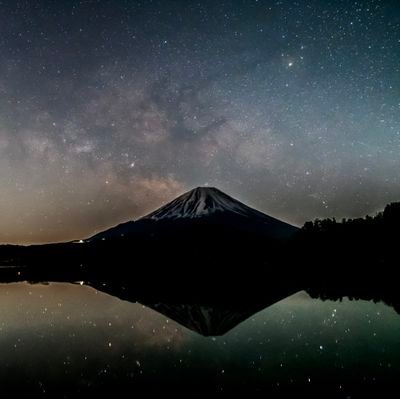 momo9999XYZ's profile picture. 