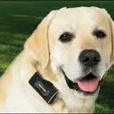 Rita Briscoe - @RitaBriscoe - Twitter