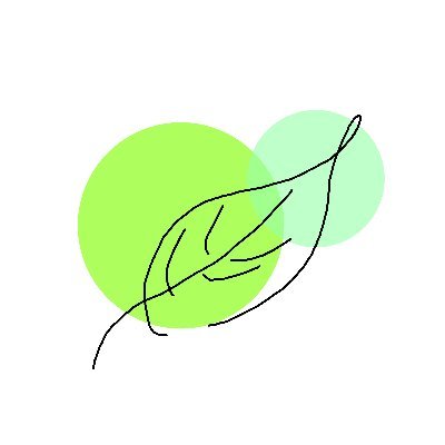 並木緑さんのプロフィール画像