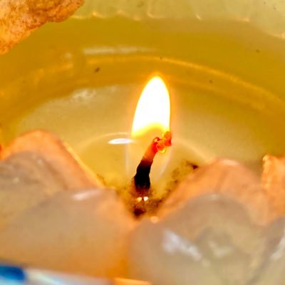 twgoto's profile picture. インド映画、スパイス料理などの記録