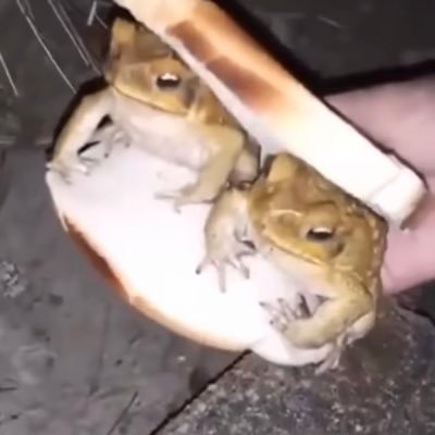 5252Pil0t's profile picture. dont ask