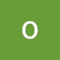 osos kaabeer (@kaabeerosos) 's Twitter Profile