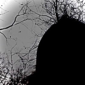 Matze61382191's profile picture. Ich möchte die Welt verändern.