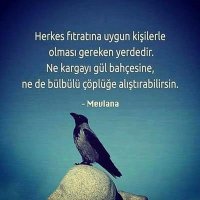 Ayhan yeşilyurt (@ayhanyeilyurt5) 's Twitter Profile