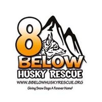 8 Below Husky Rescue(@8BelowHuskyResc) 's Twitter Profileg
