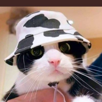 dawn🌼 (@dawn52600) 's Twitter Profile Photo dawn🌼 (@dawn52600) 's Twitter Profile Photo