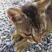 tettoets/縁 (@tettoets) 's Twitter Profile