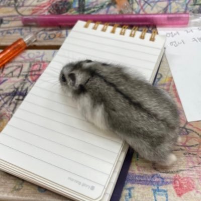 7さんのプロフィール画像