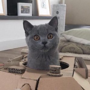 HilarySMJS's profile picture. 