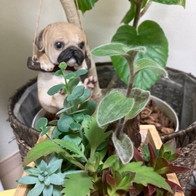 inwODhCXgDD22hb's profile picture.