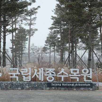 국립세종수목원 관람객.직원 아님.
수목원 다녀온 날 폭트함.
*피난처: https://t.co/1hhKXl3JT2