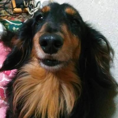 はじめまして、KNMです
好きな事は魚釣り・写真撮影・ペットの飼育・菜園・ゲーム・恋愛についての提案💙
「恋愛メンタルノート」
▶ 記事を読む・note-
https://t.co/8sWm4zFbew