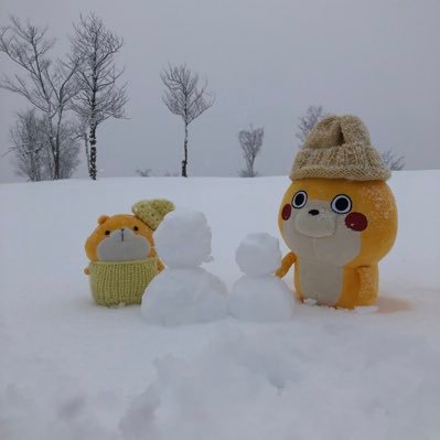 みすきゃん2nd 【みすたん】さんのプロフィール画像