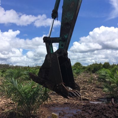 parkcuan's profile picture. amateur observer of the world penikmat sengat matahari