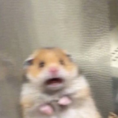 e505lm1's profile picture. . . .