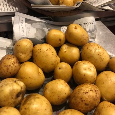 noriko_kenkou's profile picture. 