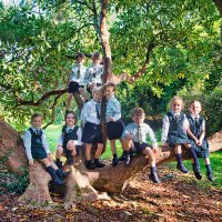 FSM Headmaster (@fsm_head) 's Twitter Profile