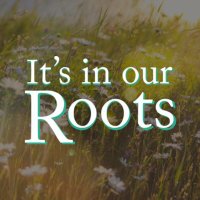 It’s in our Roots (@itsinourroots) 's Twitter Profile Photo It’s in our Roots (@itsinourroots) 's Twitter Profile Photo