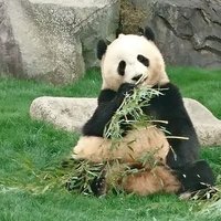 とっしぃ (@toshi95m) 's Twitter Profile