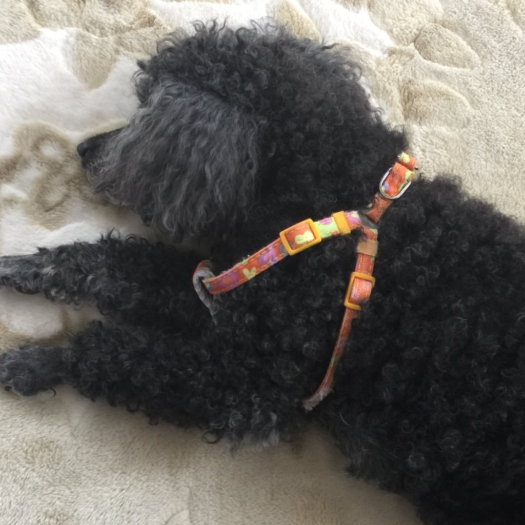 heata's profile picture. I'm some parts of system consultant. I love music.