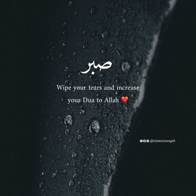 MDAHMED17340337's profile picture. 