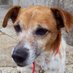 Oreste Gavazza (@orestegavazza) Twitter profile photo Oreste Gavazza (@orestegavazza) Twitter profile photo
