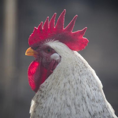 iDaddy33's profile picture. $BTC $ETC $ETH $SOL $Pixels $Ron