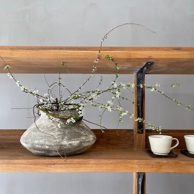 emmachengcheng's profile picture. 