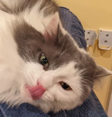 investing_data's profile picture. 