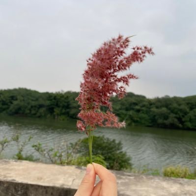 goknifefly's profile picture. 