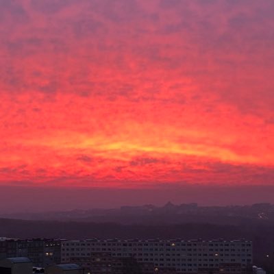 Prithivi1688's profile picture. An another trap that looked like an escape, but some traps are worth to get trapped.