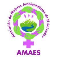 @AMAES(@amaes_sv) 's Twitter Profileg
