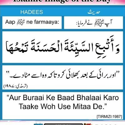 Business.
Believing in Humanity. Islam is my way of life. Loving Family, friends and relatives: who never let you down.