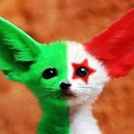 Défenseur de nos Guerriers du Désert 🇩🇿
@LesVerts