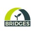 BRIDGES (@ProgettoBridges) Twitter profile photo