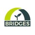 BRIDGES (@progettobridges) Twitter profile photo BRIDGES (@progettobridges) Twitter profile photo