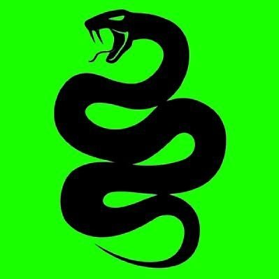 ViperSnake3 Profile Picture