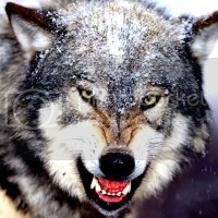 Alp Alper (@alpalper19tr) Twitter profile photo