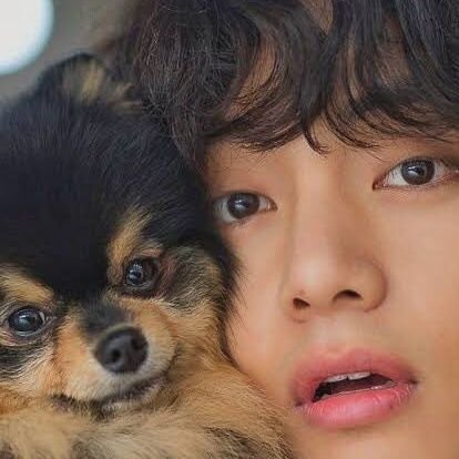 She/they | ot7 enthusiast | reads too many fanfictions for her own good |
bu : @theniceoomf | loml: @Saltysuga_bu