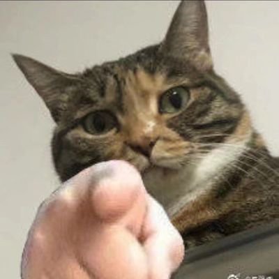 Ticktick404's profile picture. 